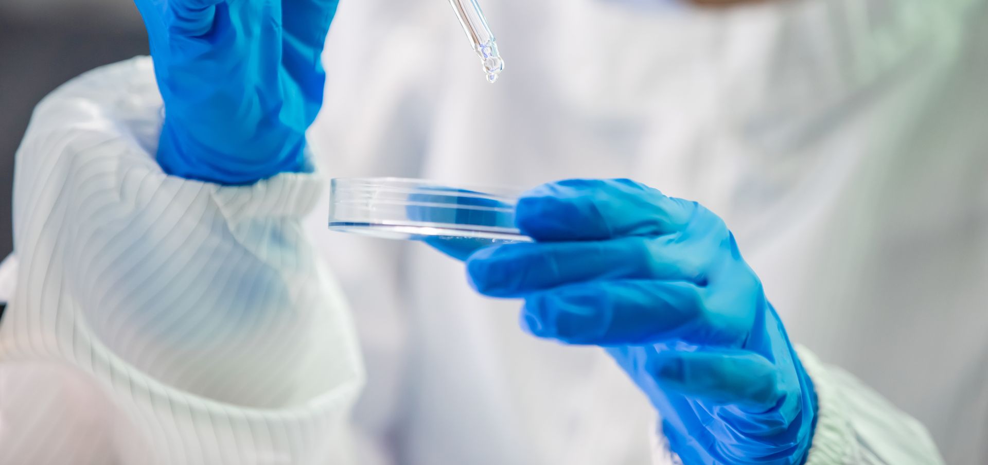 Laborperson in Reinraumbekleidung träufelt Flüssigkeit mit Pipette in Petrischale