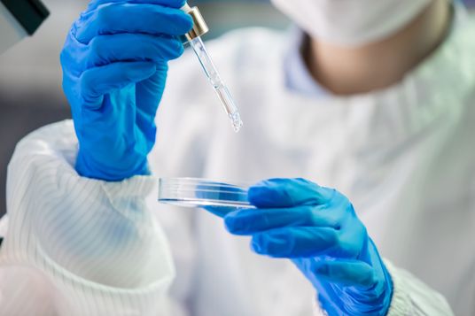 Laborperson in Reinraumbekleidung träufelt Flüssigkeit mit Pipette in Petrischale